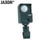 Sygnalizator brań Jaxon elektroniczny z czujnikiem ruchu